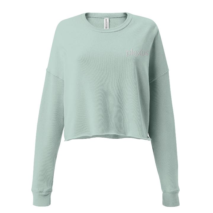 plexus swag cropped sweatshirt