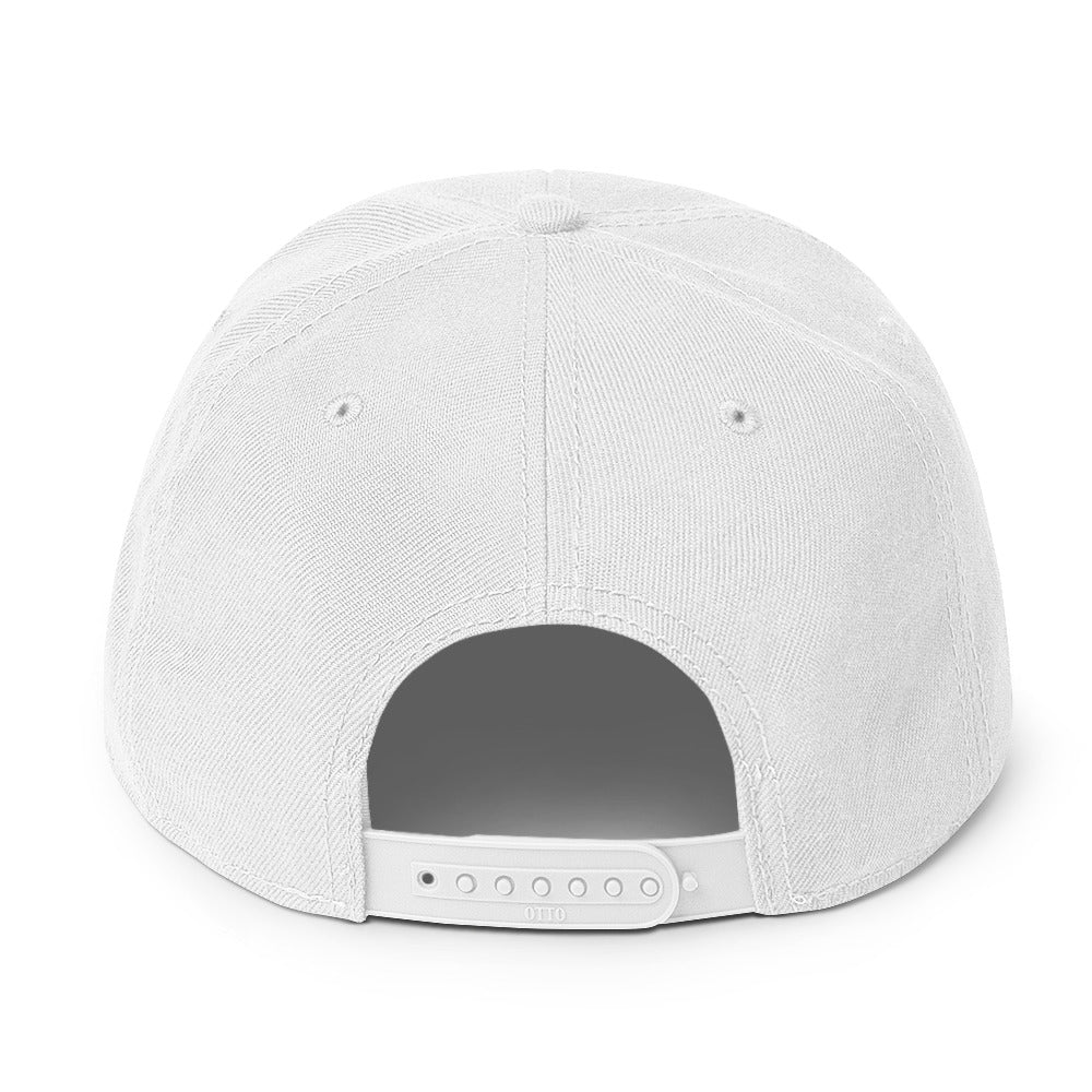 "Plexus" Embroidered Snapback Hat