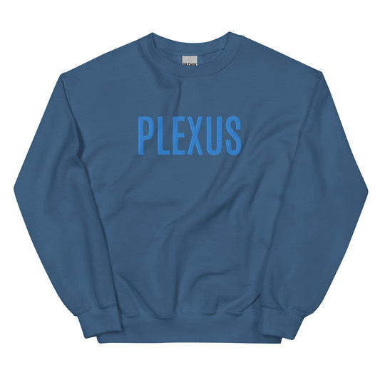 Blue Embroidered "Plexus" Sweatshirt